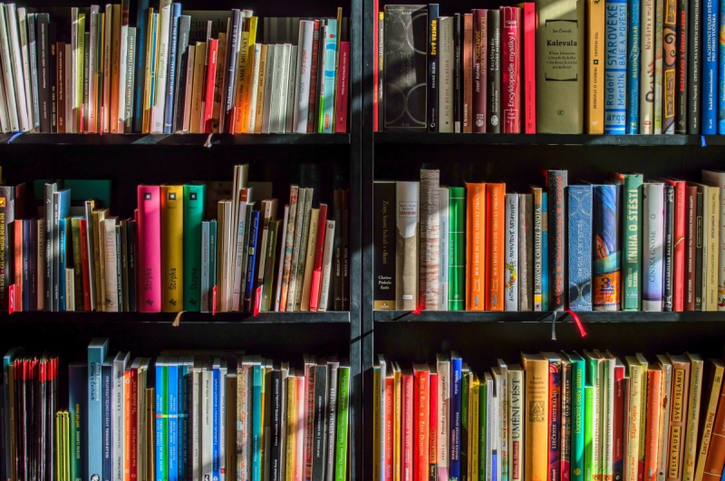 vitrine-SAUZE-min_books_bookstore_book_reading_shop_writer_sale_books_read-822866