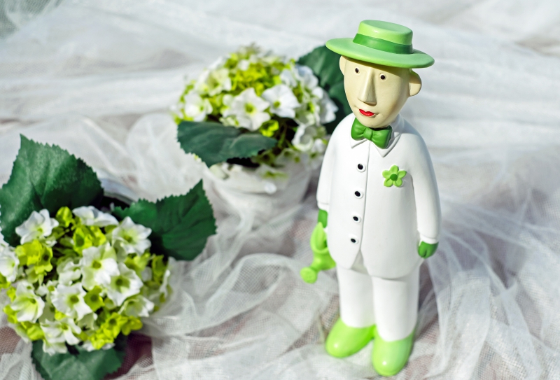 vitrine-SAUZE-min_man-person-flower-green-toy-fig-546529-pxhere.com